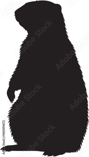 Yellow Bellied Marmot Vector Silhouette