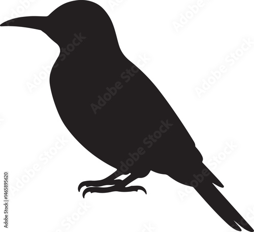 Yellow Shafted Flicker Vector Silhouette