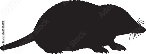 Yeniseian Mole Vector Silhouette