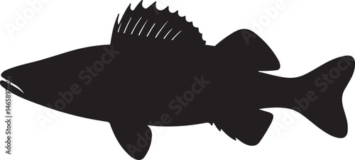 Zander Fish Vector Silhouette