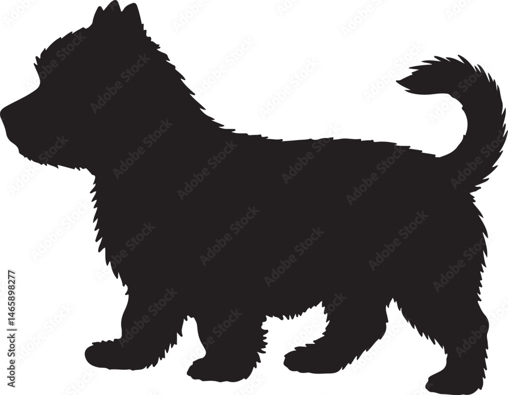 Obraz premium Zuchon Vector Silhouette