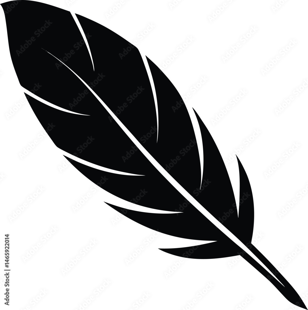 Obraz premium feather on white background