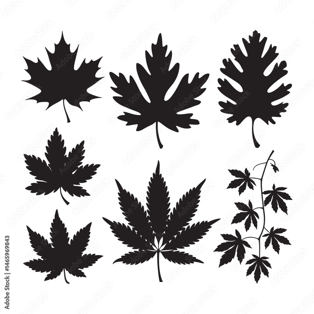 Obraz premium Autumn leaves Silhouette Vector
