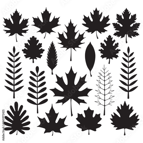 Autumn leaves Silhouette Vector