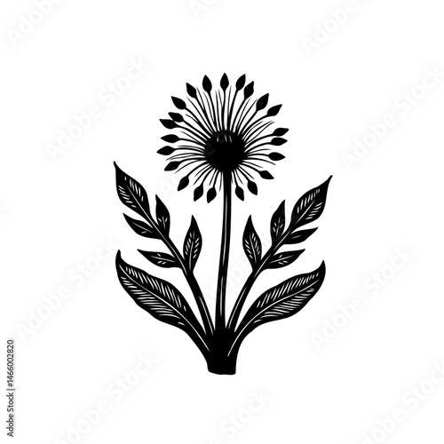 Detailed botanical illustration showcasing allium flower with ornamental leaves