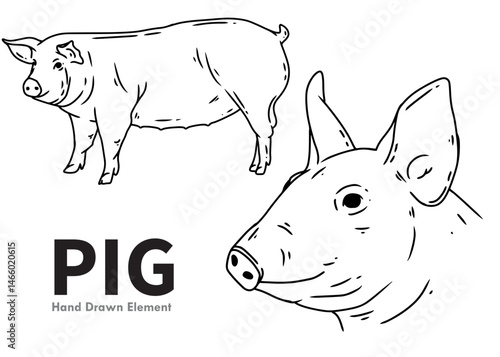 vector illustration of a black and white pig