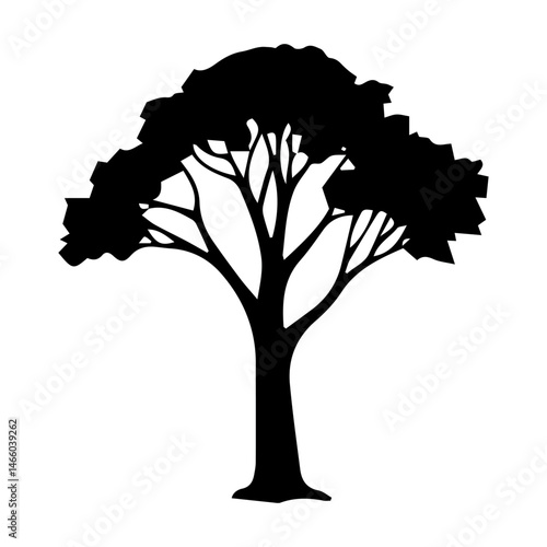 Diverse Tree Silhouette Collection, Coniferous, Deciduous, and Bare Branch in Vector Format, 
Black and White Vector Illustration, Variations of Tree Shapes from Broadleaf to Needle-leaf