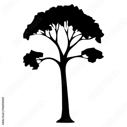 Diverse Tree Silhouette Collection, Coniferous, Deciduous, and Bare Branch in Vector Format, 
Black and White Vector Illustration, Variations of Tree Shapes from Broadleaf to Needle-leaf