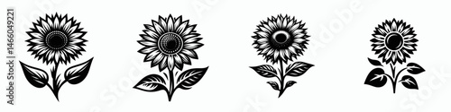 The sunflower. Symbol Vector Clip art. Colossal blossom helianthus a brilliant yellow bloom bringing joy and summer.