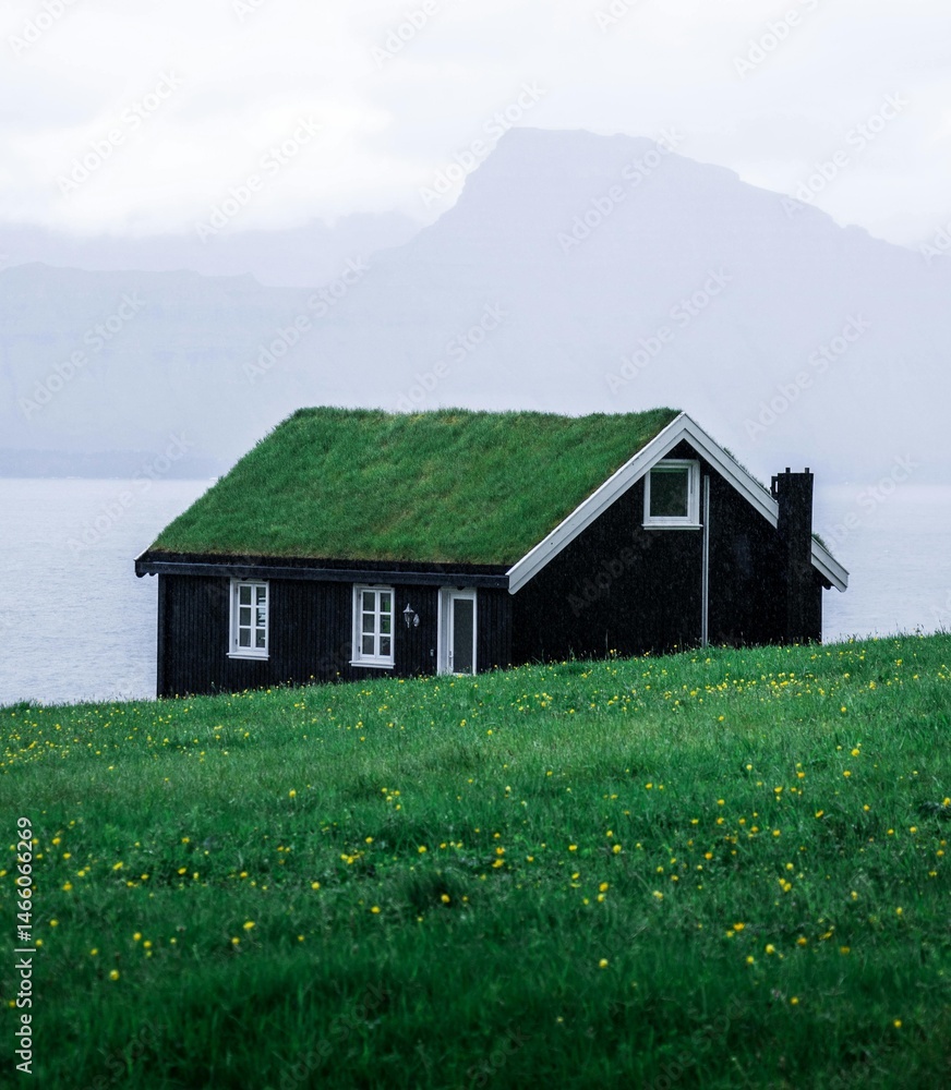 Fototapeta premium house in the mountains