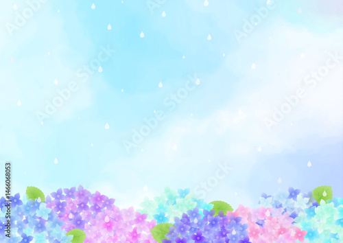 梅雨の紫陽花のフレーム