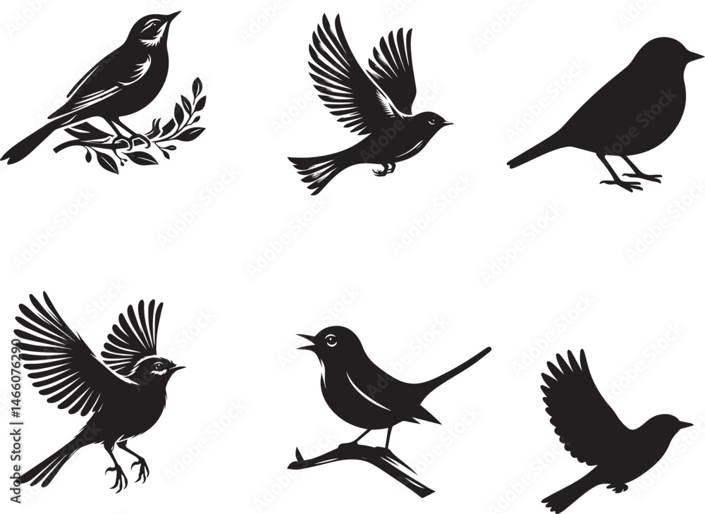 Obraz premium Bird vector silhouette on white background