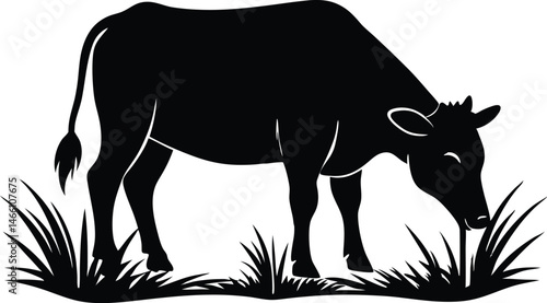 A cow vector art silhouette, Cow eating grass vector, Cow grazing Silhouette Vector Illustration.