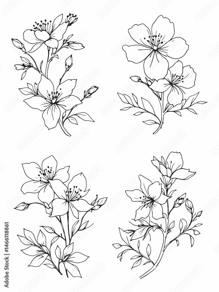 Fototapeta premium Cape leadwort flower simple 2D line art drawing.eps