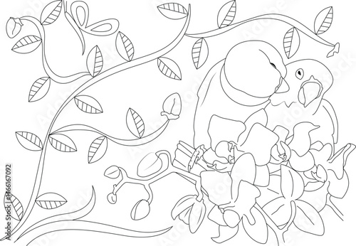 Love Birds on Branch Line Art for Coloring, Black and white line art illustration featuring two beautiful love birds perched together on a branch with leaves and orchid flowers. Ideal as a coloring 
