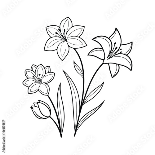 simple line drawings, minimalist flower vector art illustration