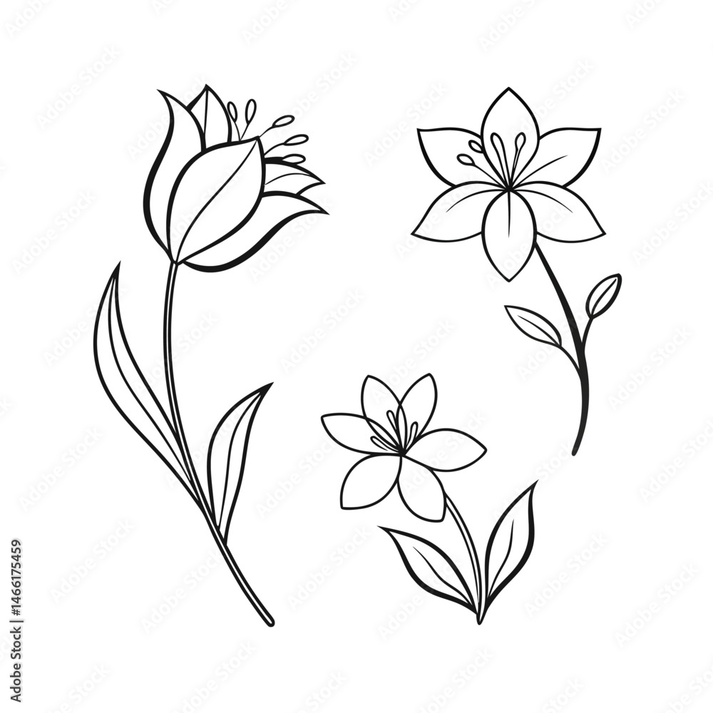 Obraz premium simple line drawings, minimalist flower vector art illustration