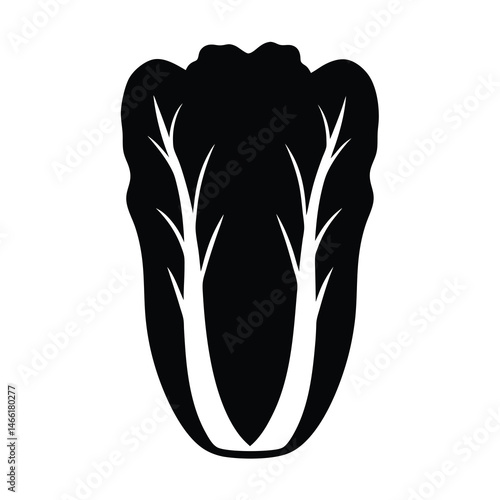 napa cabbage vector silhouette icon - perfect for food, farming, or nutrition concepts.