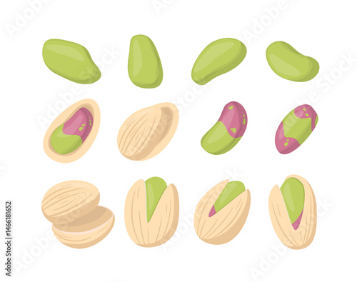 Pistachio Nuts Collection. Cartoon Flat Food Vector Illustration. 