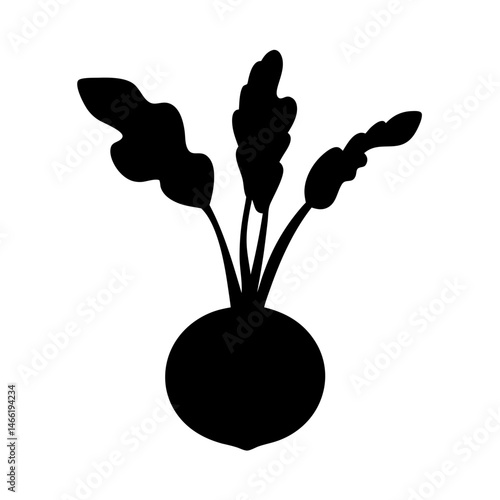 kohlrabi vector silhouette icon - perfect for food, farming, or nutrition concepts.