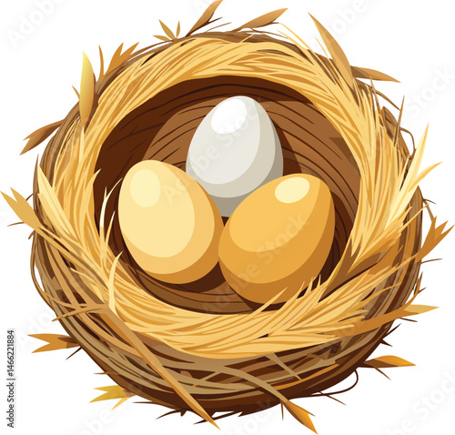 Bird nest with eggs