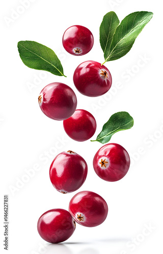 Wallpaper Mural Group of ripe cranberries with leaves in the air close up Torontodigital.ca