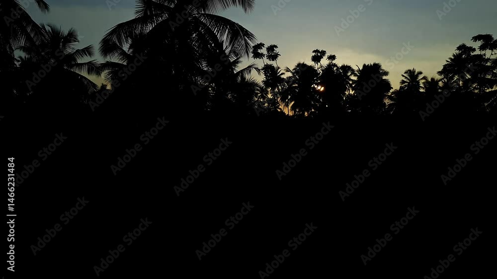 An epic view of the golden sun glowing through trees in a dark sunset sky, seen from speeding train