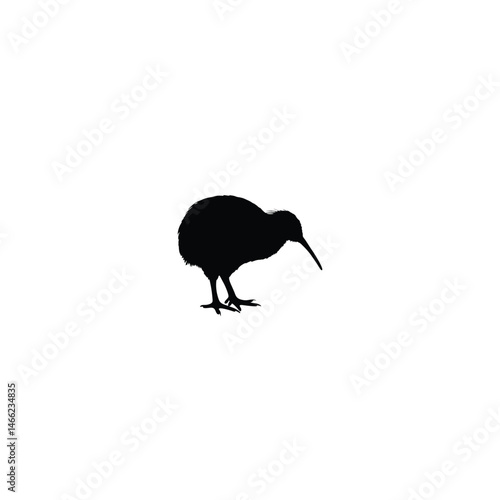 Kiwi Bird silhouette on white background