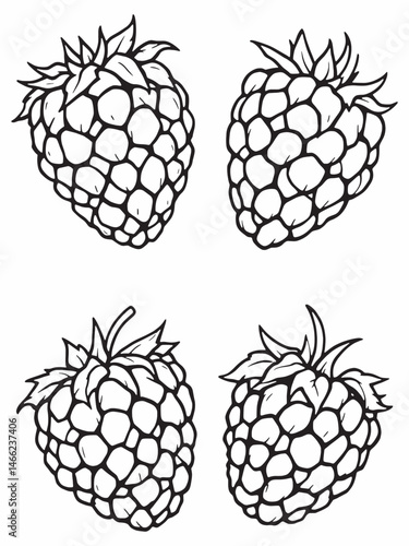 Raspberry tar line art in minimalistic style.eps