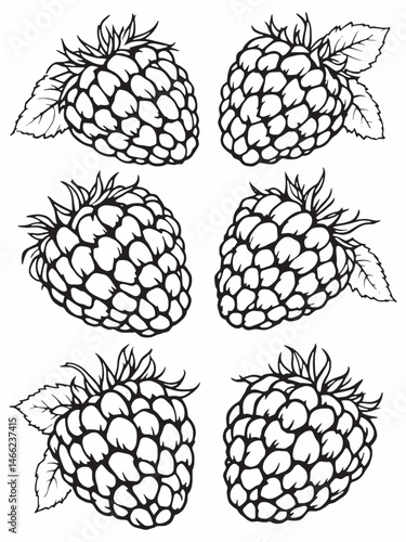 Raspberry tar line art on textured background.eps