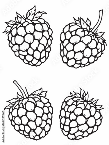 Raspberry tar line art with abstract design.eps