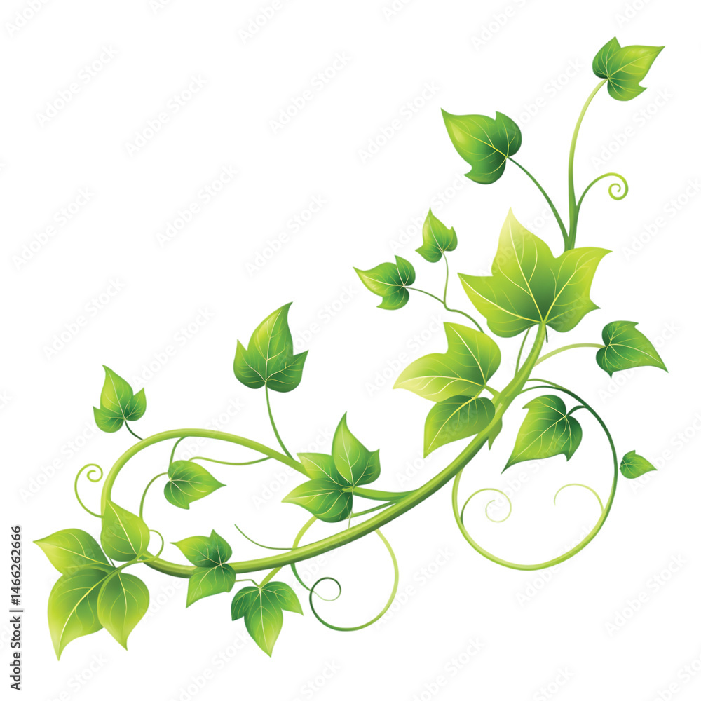 Obraz premium Green Vine with Leaves: A flowing green vine with curling leaves, elegant and simple, transparent PNG