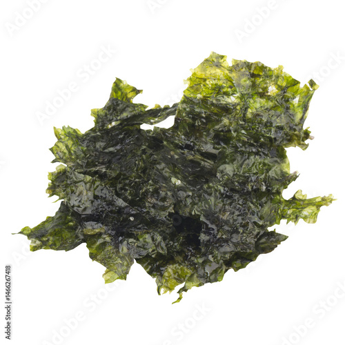seaweed isolated  on white background