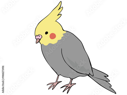 色とりどり オカメインコ 