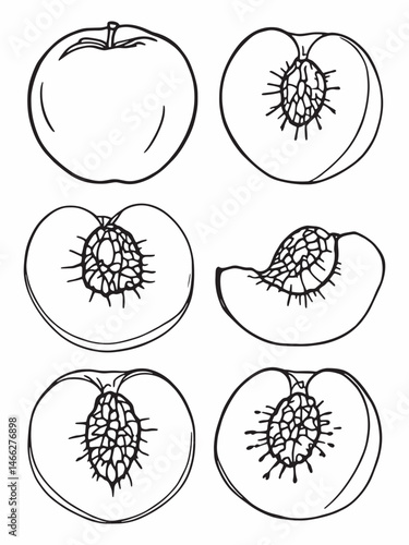 Whole nectarine with two peach slices line art design.eps