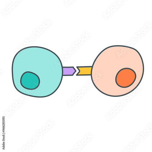 Signaling and target cell