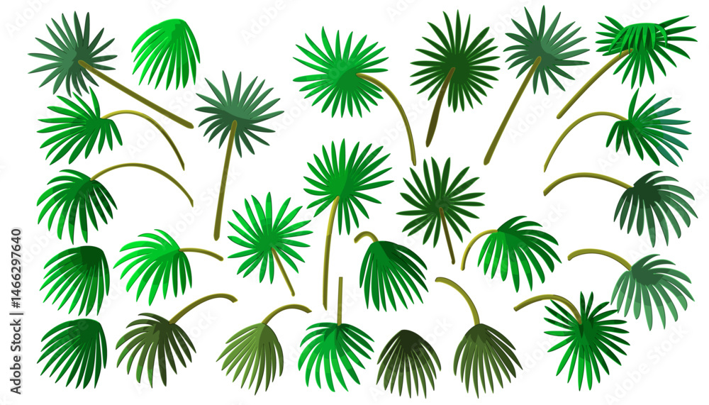 vector palm leaves set. Clip art isolated on transparent background. vector palm leaves set. Clip art isolated on transparent background.