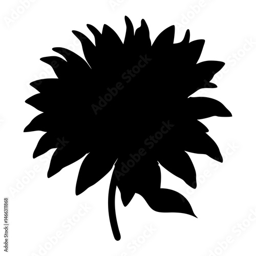 Black and white illustration of bee balm , flower silhouette vector designs.