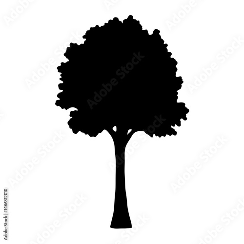 beech tree vector silhouette icon, black and white illustration of trees.