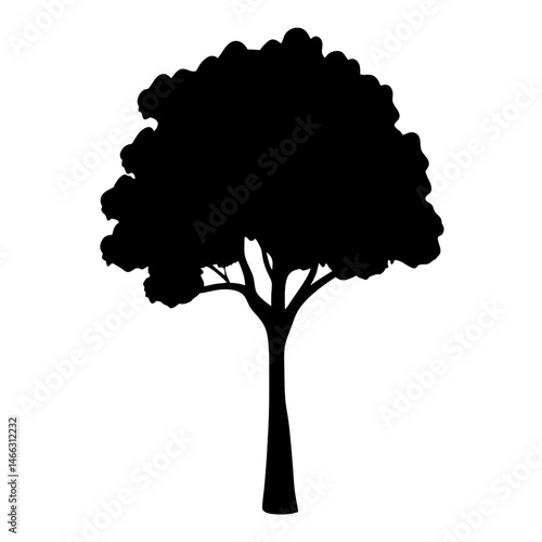 birch tree vector silhouette icon, black and white illustration of trees.
