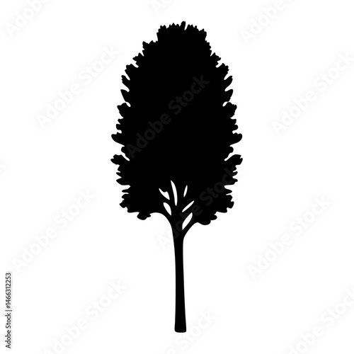 birch tree vector silhouette icon, black and white illustration of trees.