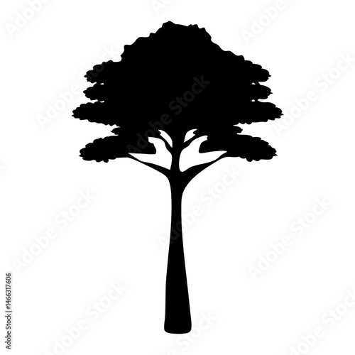 cypress tree vector silhouette icon, black and white illustration of trees.