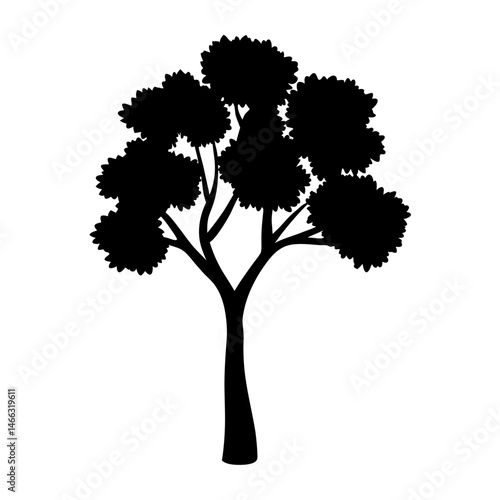 eucalyptus tree vector silhouette icon, black and white illustration of trees.