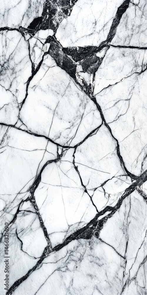 Obraz premium Abstract White Marble Texture with Black Veining