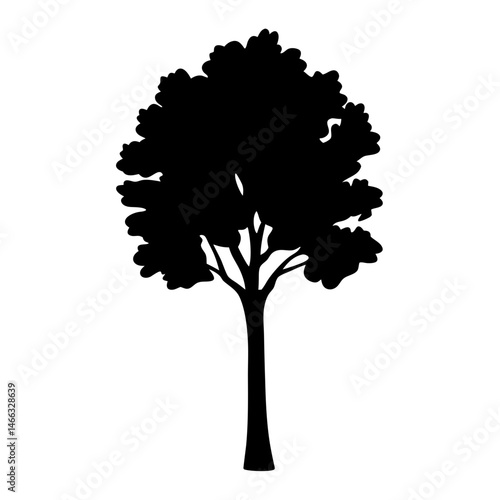 linden tree vector silhouette icon, black and white illustration of trees.