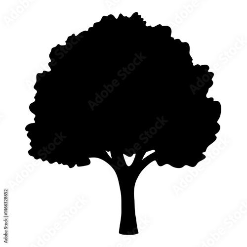 linden tree vector silhouette icon, black and white illustration of trees.