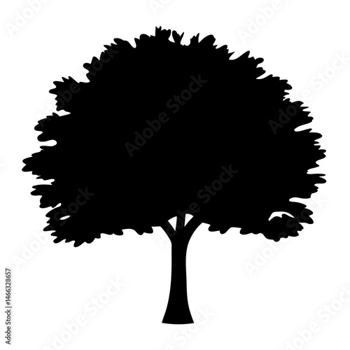 linden tree vector silhouette icon, black and white illustration of trees.