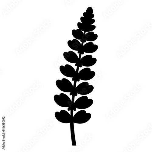 Quadro em tela Black and white illustration of lupine , flower silhouette vector designs