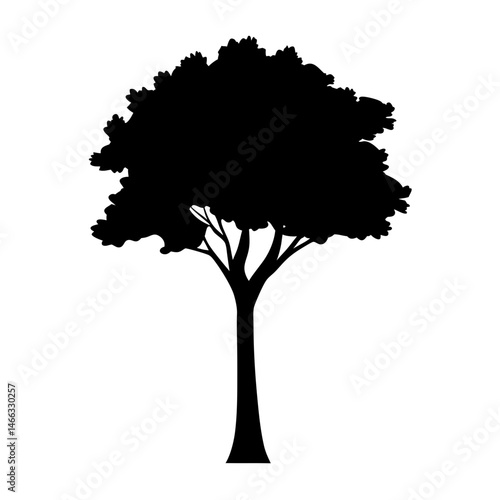 mahogany tree vector silhouette icon, black and white illustration of trees.