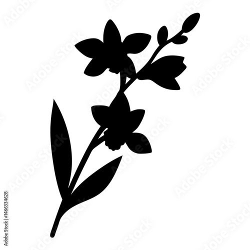 Black and white illustration of orchid , flower silhouette vector designs.